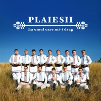 Plaiesii - La Omul Care Mi-I Drag mp3 скачать