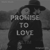 Riltim - Promise To Love mp3 скачать